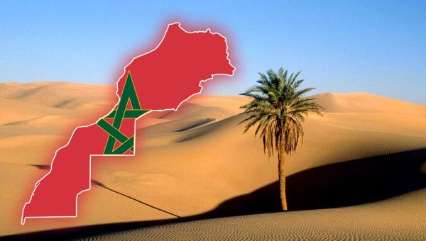 النظام الجزائري لا يرغب في حل النزاع المفتعل حول الصحراء المغربية خدمة ل''عصابة الجنرالات'' 